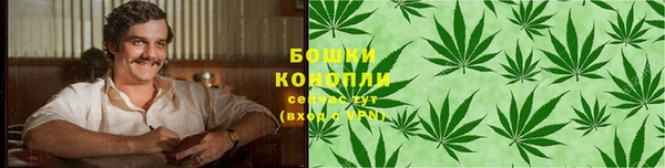 PSILOCYBIN Балабаново