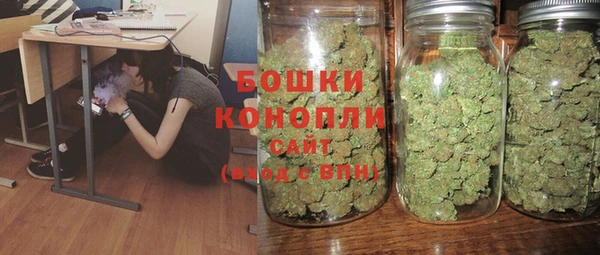 PSILOCYBIN Балабаново